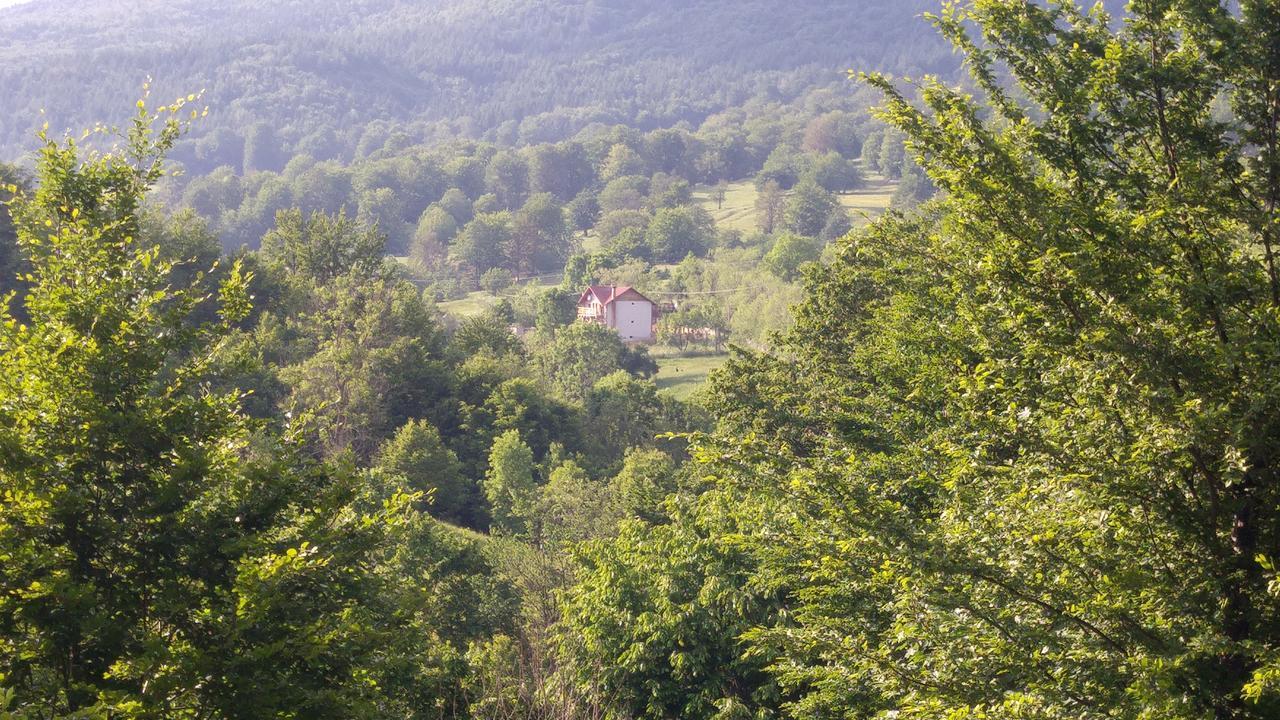 Casa Din Piatra Poiana (Valcea) Exterior foto