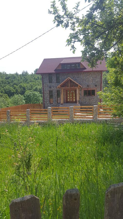 Casa Din Piatra Poiana (Valcea) Exterior foto