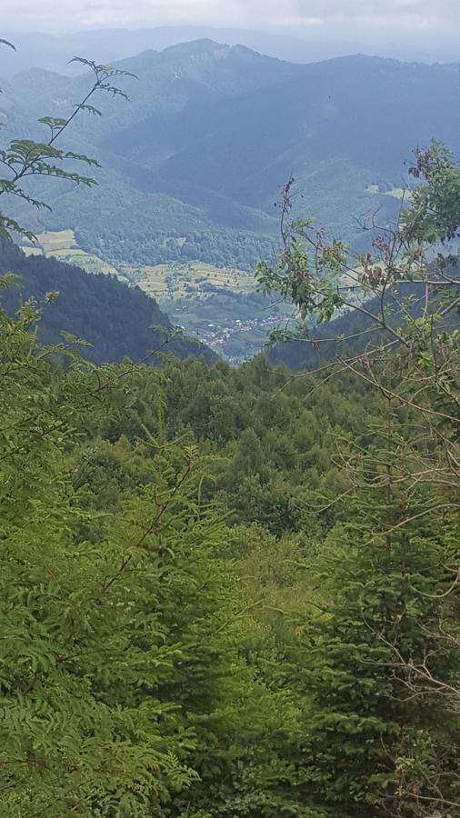 Casa Din Piatra Poiana (Valcea) Exterior foto